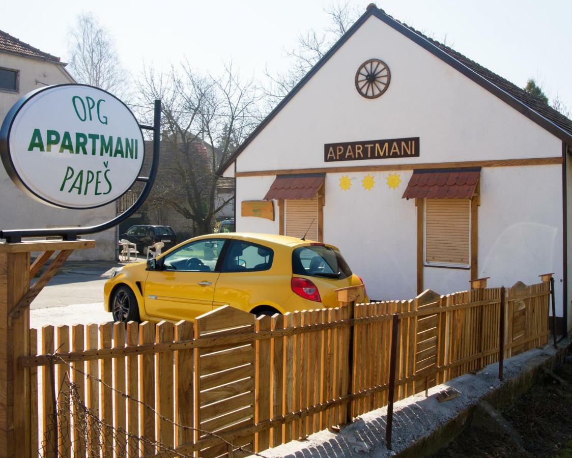 Apartmani Papes クラピナ エクステリア 写真